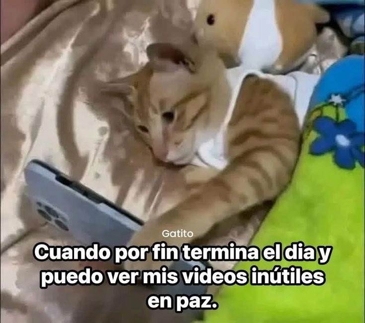 minidramatica's tweet photo. https://t.co/mHHlaswxFf