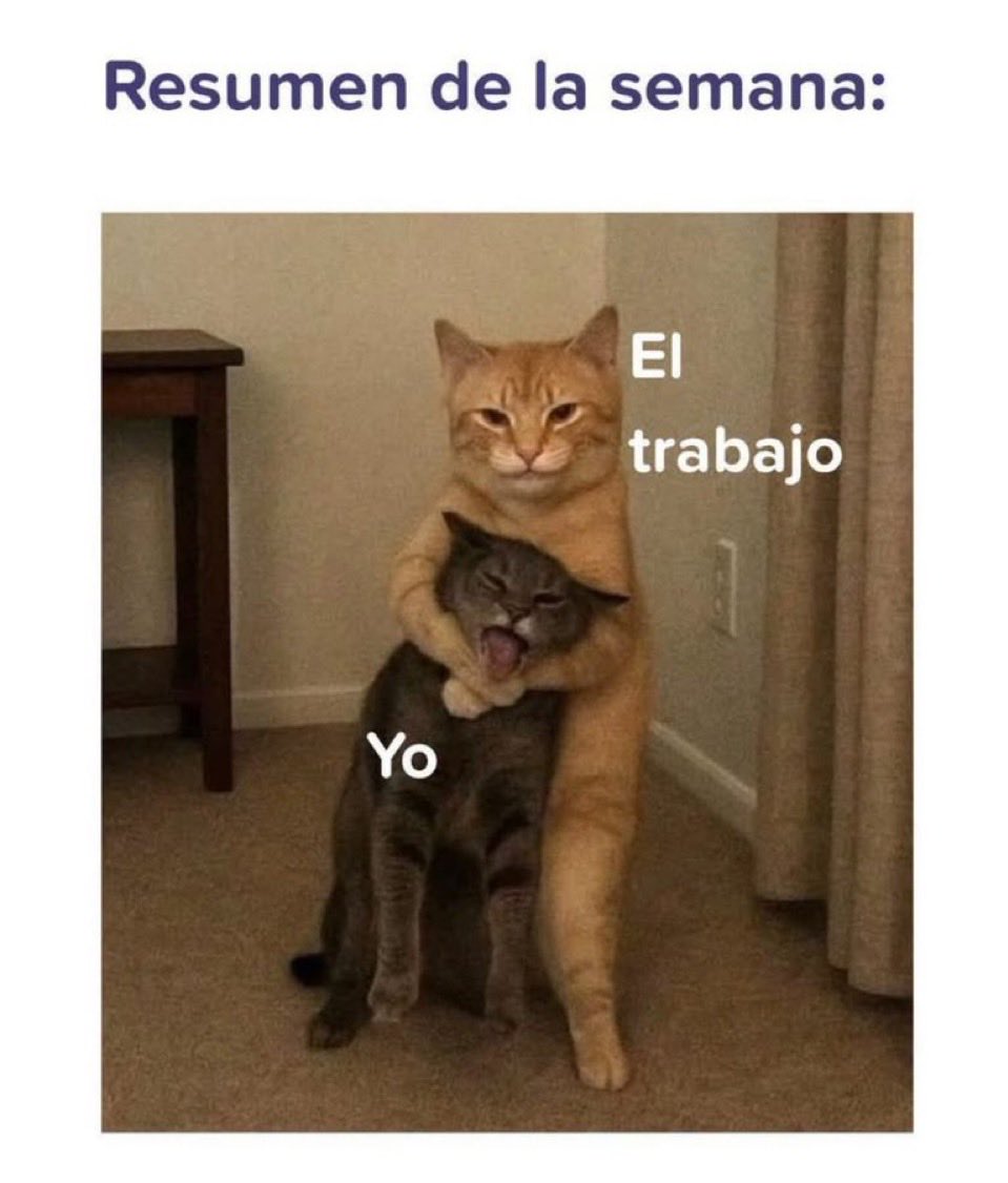 Fabiolacar49087's tweet photo. https://t.co/3TywVGCBYh
