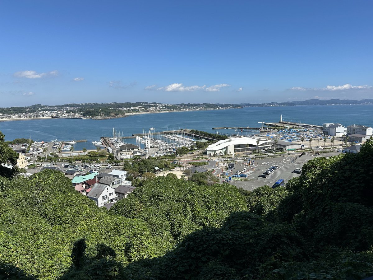 AgroecologyJ's tweet photo. 本当そう。引きこもりすぎて昨日これ https://t.co/rZ3N2ZQ5lI