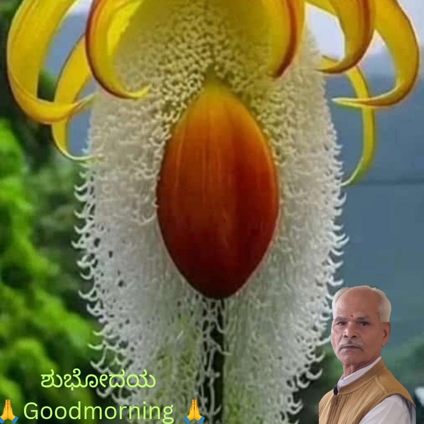 BanakarNagappa's tweet photo. https://t.co/0jcYxgyLiA
