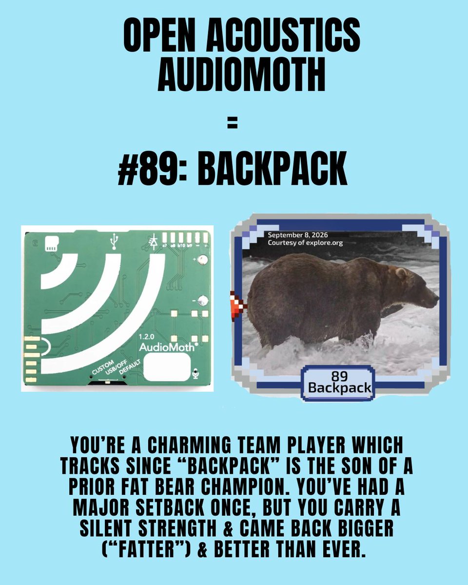groupgetscom's tweet photo. https://t.co/DjI7Bw1h0l 🐻 Your GroupGets purchase - your Fat Bear personality!

In all honesty, we love this annual, fun effort by the @KatmaiNPS to raise awareness and collect donations for park staff and infrastructure, research projects, tribal coordination, youth education, wildlife conservation, and more.