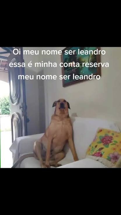 lawfofo's tweet photo. @dcarvalholuci https://t.co/ACBHUlE4zd