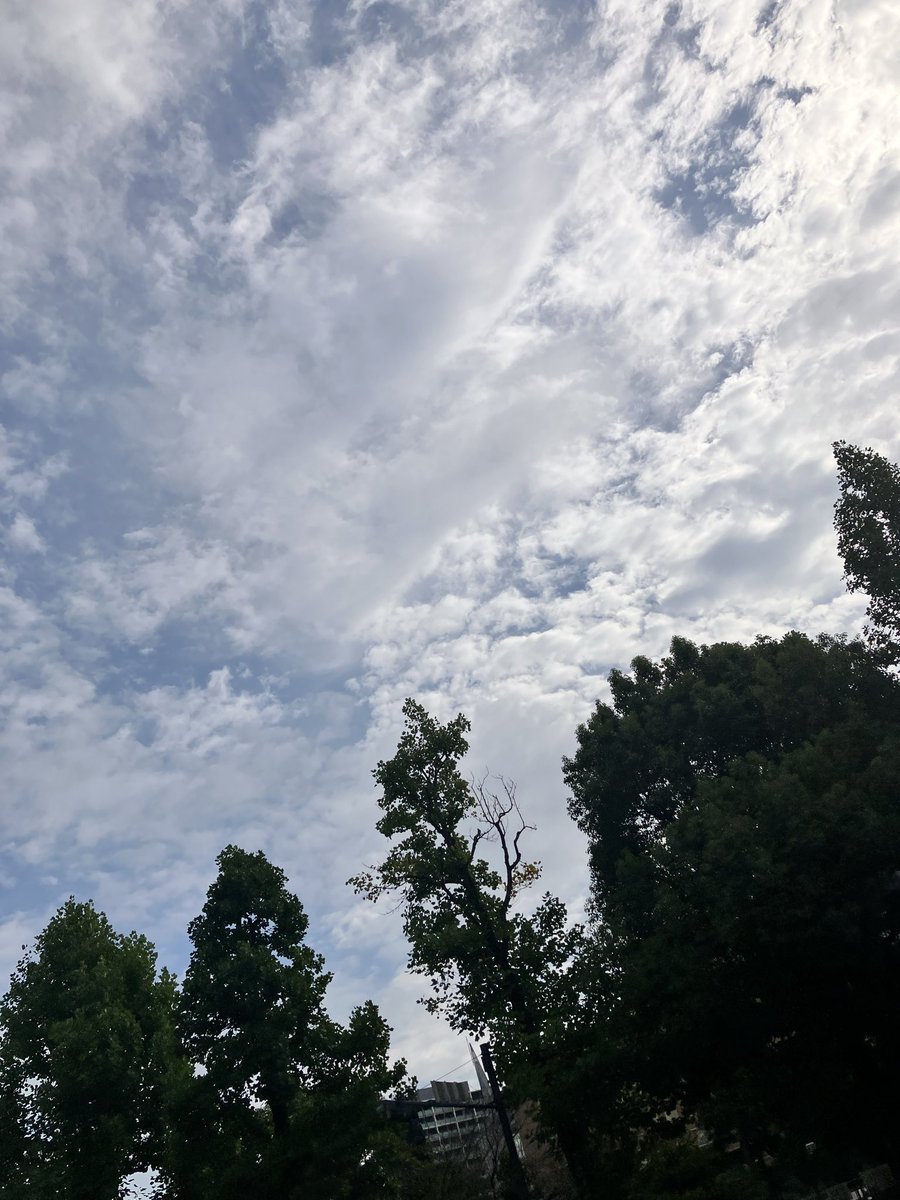 pinkf78's tweet photo. お弁当は美味しいヘルシーをモットーに♡

おはようございます☀

今夜は中秋の名月🎑🦦✨

玄米飯
銀むつ西京焼き
ほうれん草と卵炒め
水菜サラダ

昨夜観た舞台
空襲で檻が壊れて動物が逃げ出すことを防ぐため1943年（昭和18年）8月に「戦時猛獣処分」男性飼育員には赤紙…という切なく悲しい物語🥹 https://t.co/mqrMNkUHFU