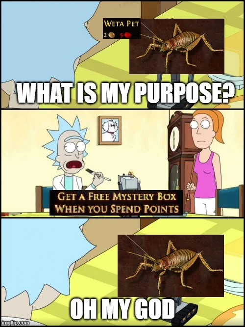 MadaFunhas's tweet photo. @Restodroodopz @pathofexile The Weta from PoE 1 is very cheap https://t.co/8XmbJ7mtSm
