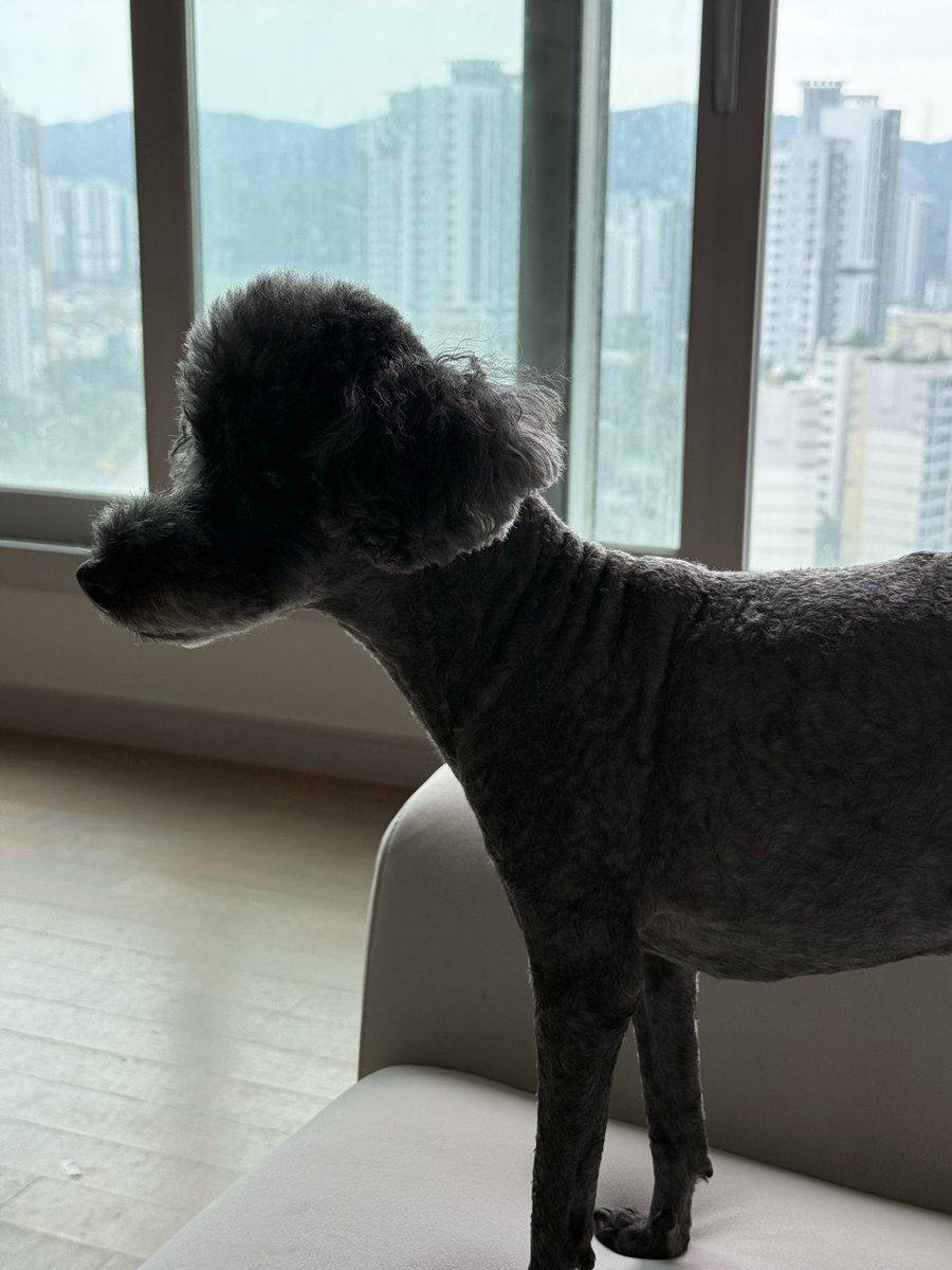 LllLll154151's tweet photo. 🐾 https://t.co/Eh3uqE0NPm