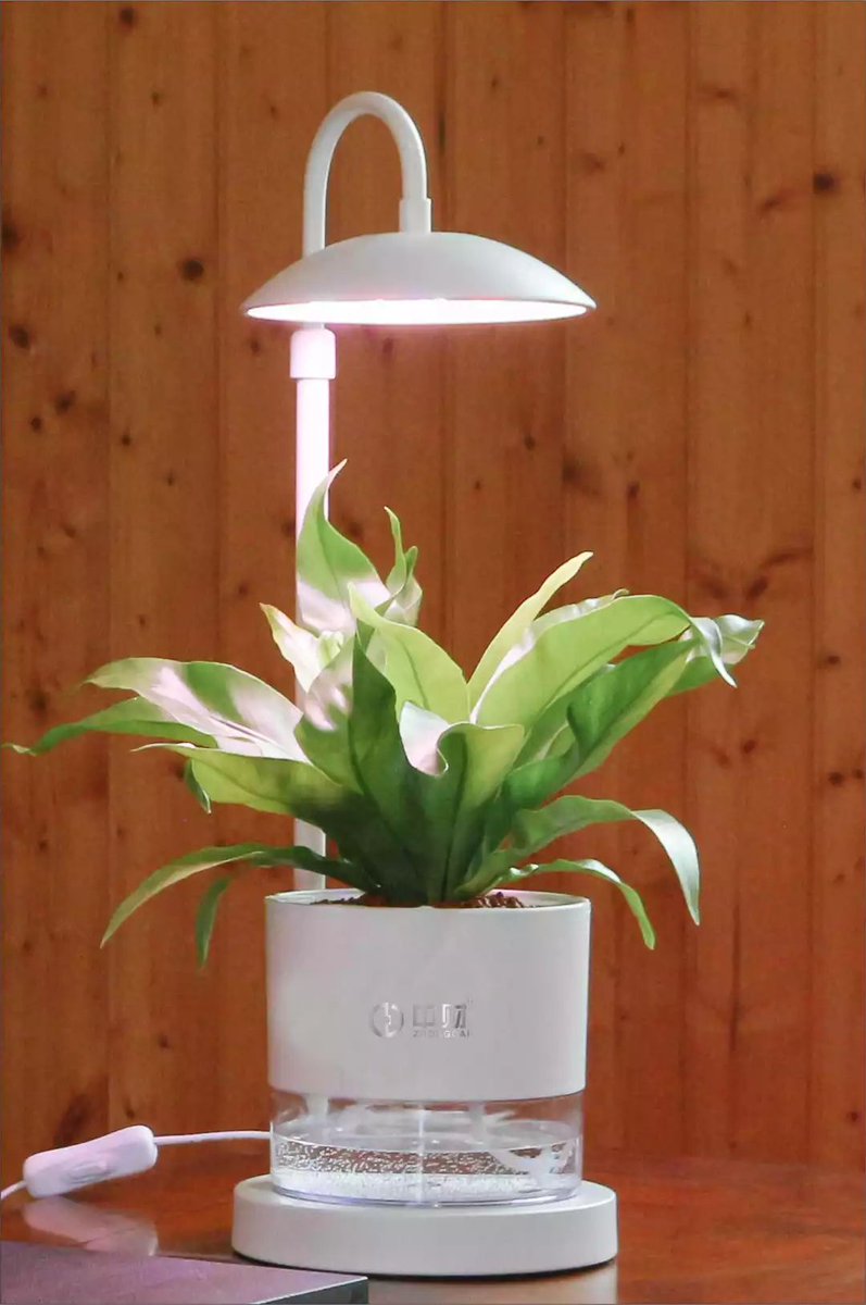 MargertBen7m48's tweet photo. New to growing plants Water only when the top 2 inches of soil feel dry—your green pals will thank you for this simple routine!， https://t.co/VgQ1qJA4Af
