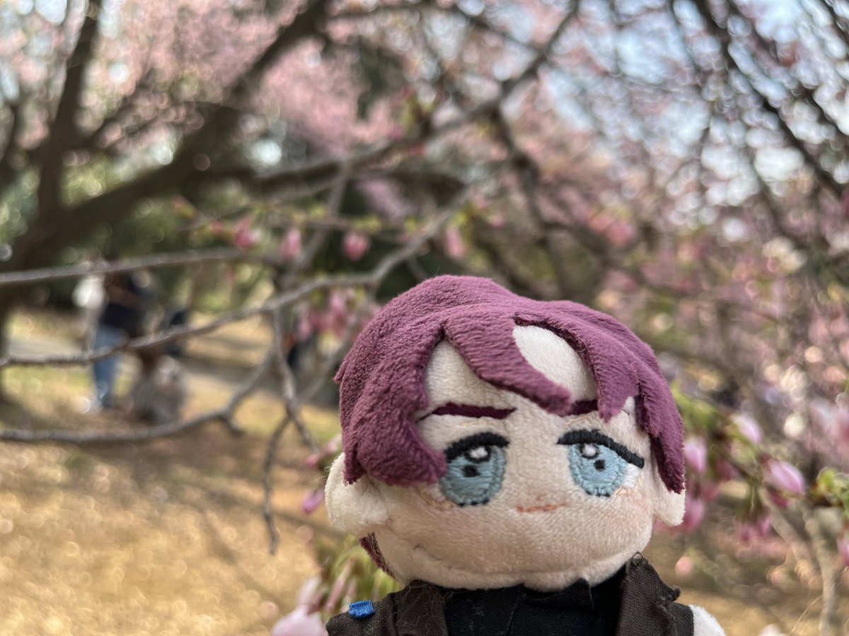 0_T____O's tweet photo. これは一昨年？の新宿御苑 https://t.co/iZ7596fd8D