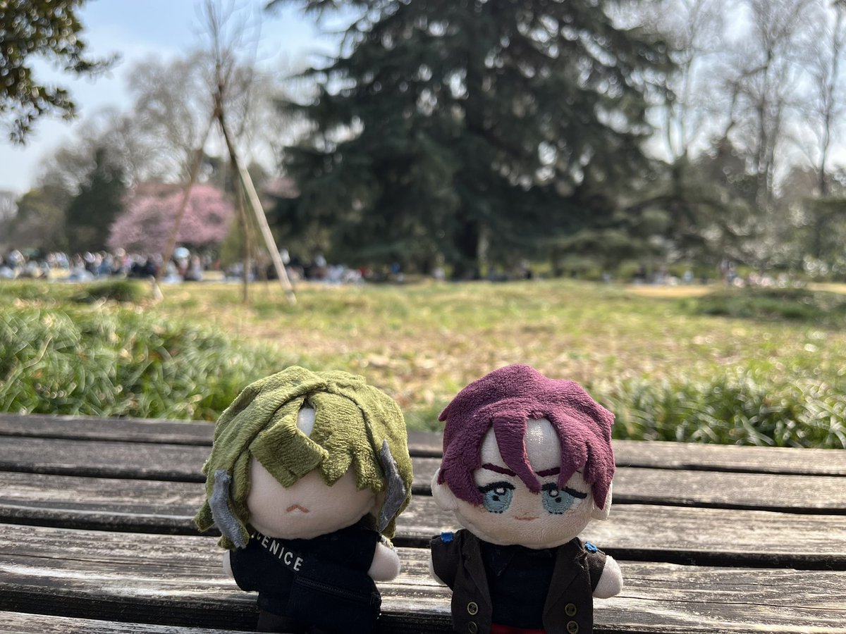 0_T____O's tweet photo. これは一昨年？の新宿御苑 https://t.co/iZ7596fd8D