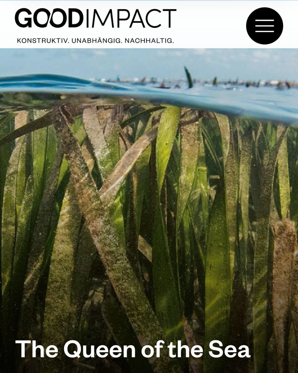 KlangSignals's tweet photo. Mention of https://t.co/2YndWOozCl Coco Francavilla, Neus Pérez Gimeno & @inmar_uca in Germany’s Good Impact with a special edition on the Balearic waters & sea grasses featuring @marcialbardolet 🌊
https://t.co/t7iFOOJEaw
#ocean #oceanconservation #seagrass #posidonia https://t.co/yUi8RSbfKk