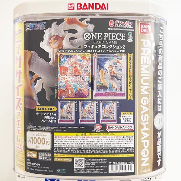高崎オーパの入荷情報の写真