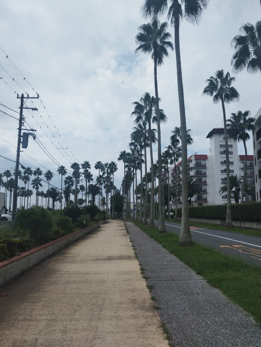 Shuichi5566's tweet photo. 鎌倉〜逗子マリーナ🌊
4時間半30キロ弱

ゆるランのせいか、脚の痛みないけどしんどぉ〜🙄

#逗子マリーナ
#24時間マラソン
#パート3
#おらに元気を分けてくれ笑 https://t.co/JabQ8ozYdF