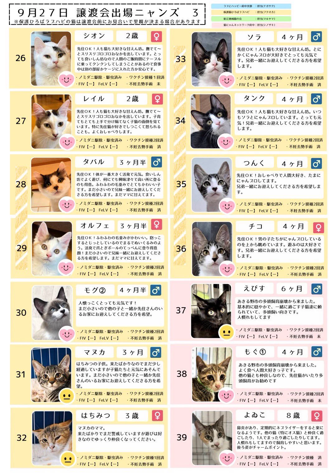 NPO法人 保護猫ひろばラブハピ على X: 