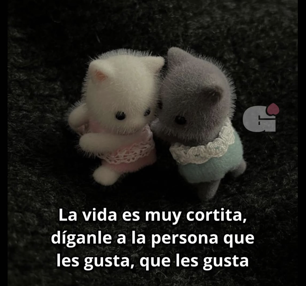 Guarromantico_'s tweet photo. Díganle ❤️ https://t.co/OI36u6HGew