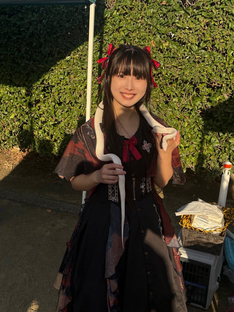 Happy_Paprika's tweet photo. こんにちは！しょこらだよぉ💕
先日の清洲城のイベントで小動物のふれあいコーナーがありました😊
しょこらは爬虫類が大好きなので、蛇を首に巻かせてもらいましたよ🐍
目がくりくりで可愛かったです✨
嬉しすぎて終始ニヤニヤが止まりませんでした🥰

今日も一日ファイティン💪

 #ハッピーパプリカ https://t.co/pHWARBP1Y5