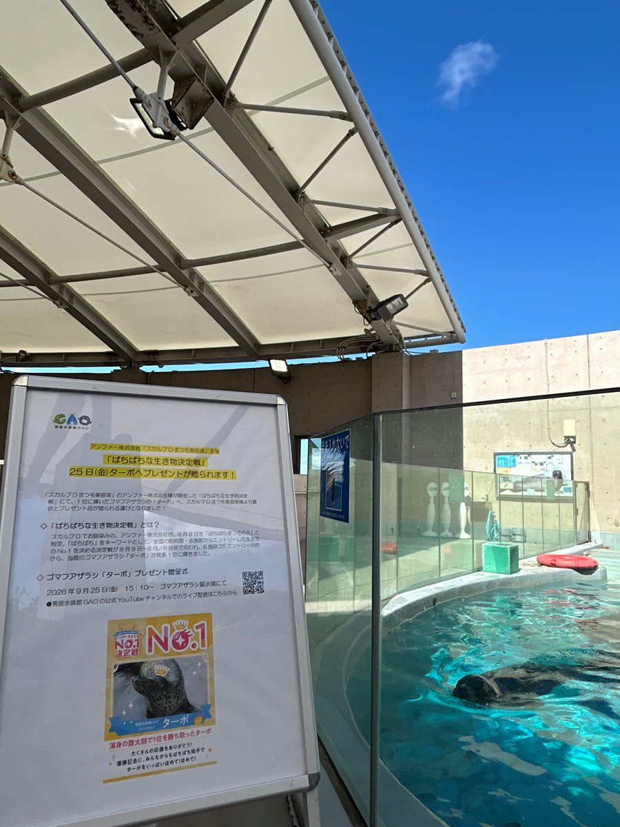 ogaaquariumgao's tweet photo. よっしゃターボきた～！

結局逆光で誰だかよくわからない！！

というわけで本日はお日柄も良く、15時10分よりスカルプDまつ毛美容液様（@scalpd_eye）より賞状とプレゼントの贈呈式を行います。
ライブ配信も行う予定です
https://t.co/GX3Ny1d8ra

#男鹿水族館GAO
#ぱちぱちな生き物選手権 https://t.co/dtVP0kFijD