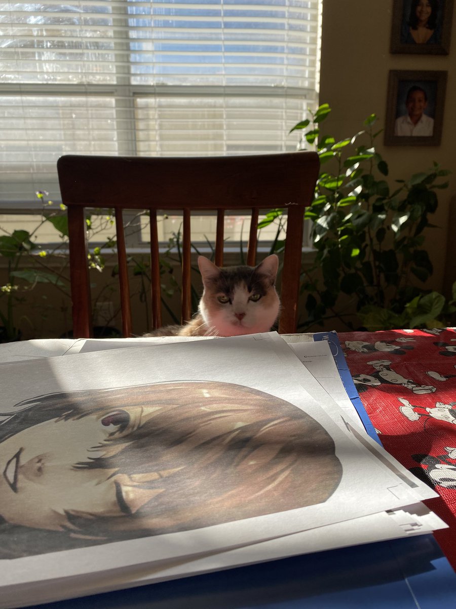 Akechsuba's tweet photo. Why is my cat Akechi maxxing https://t.co/8vh0GM7MMM