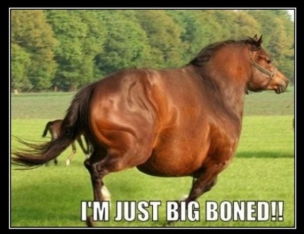 RideabilityPI tweet picture