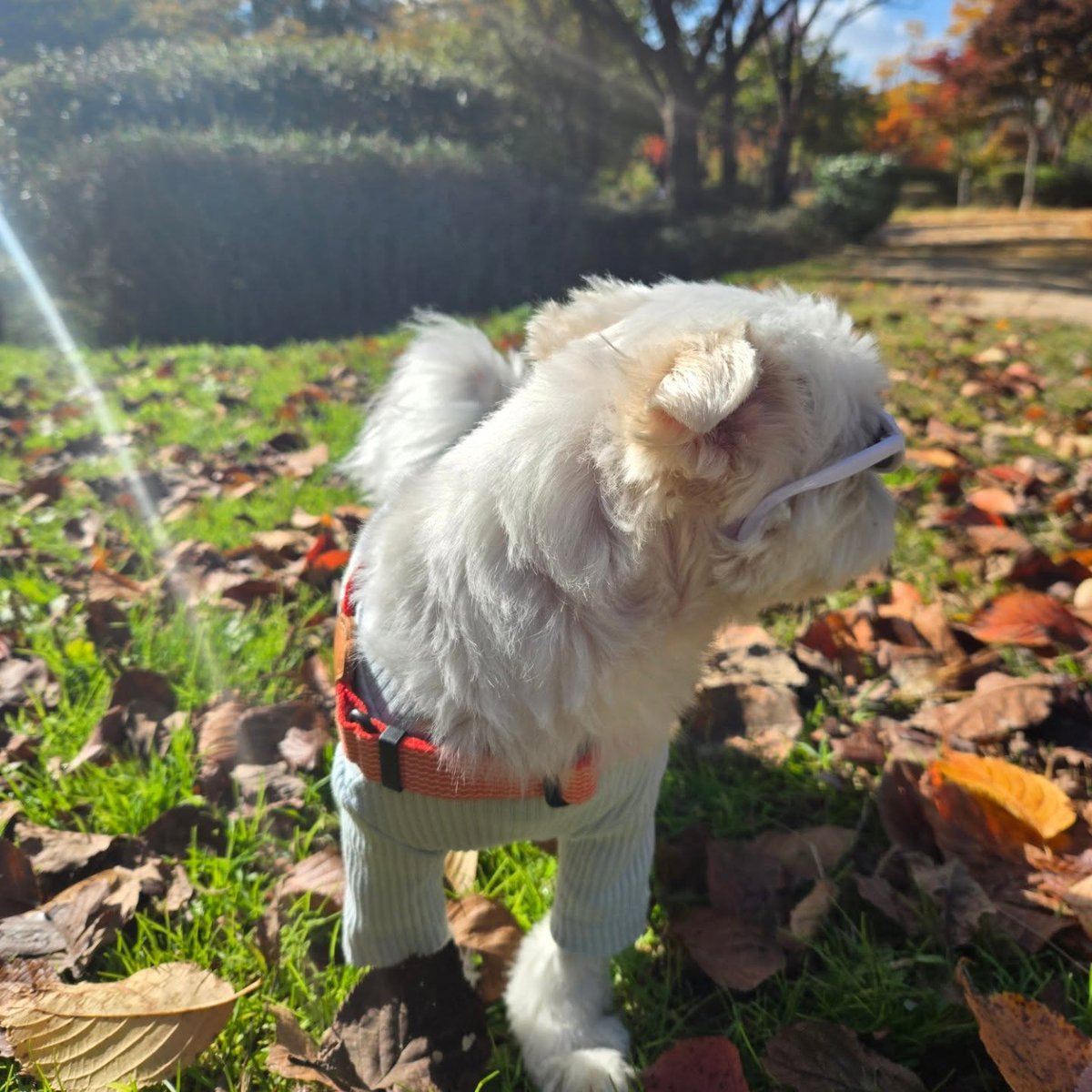 averythompsonm0's tweet photo. I love autumn. https://t.co/L5WRhWwCTN