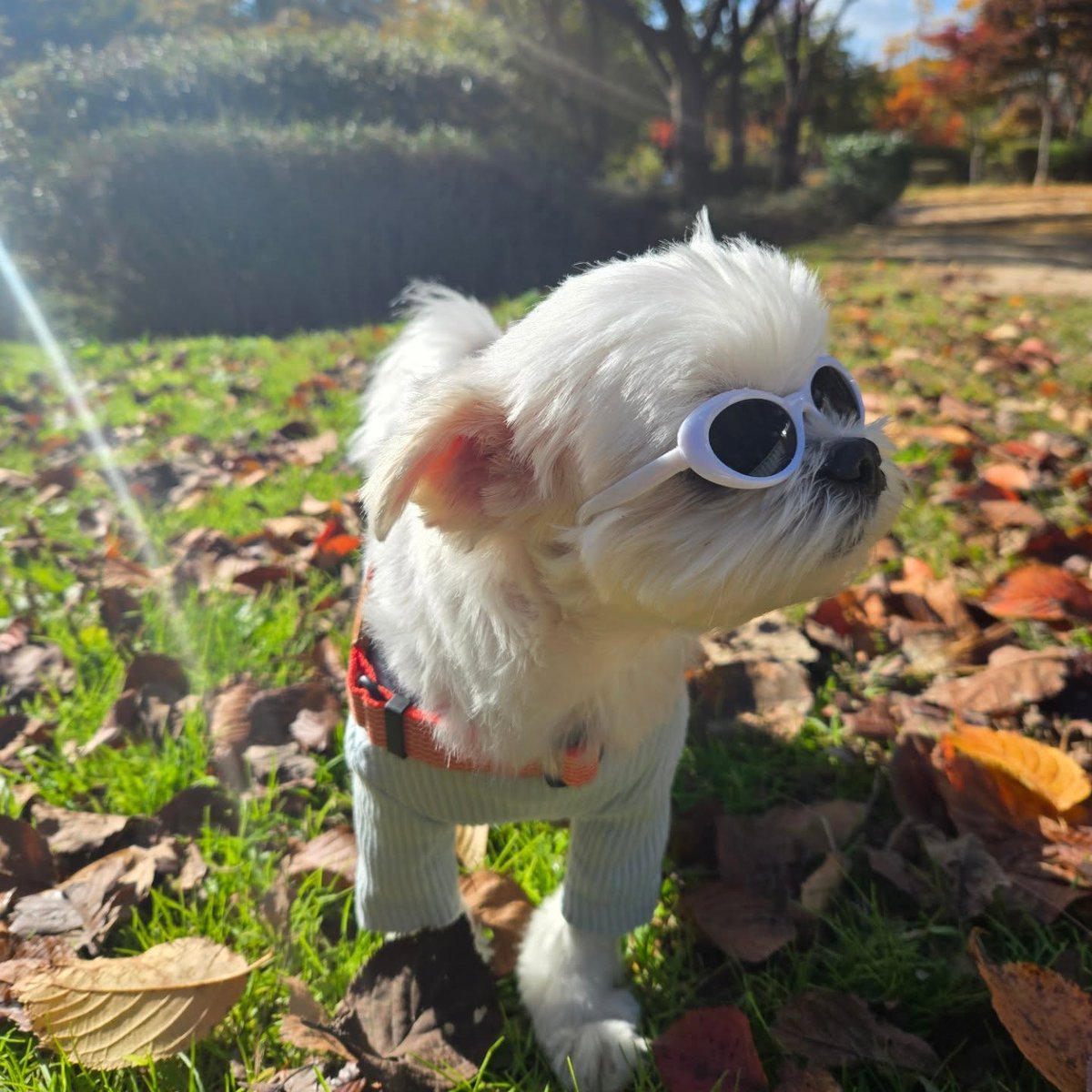 averythompsonm0's tweet photo. I love autumn. https://t.co/L5WRhWwCTN