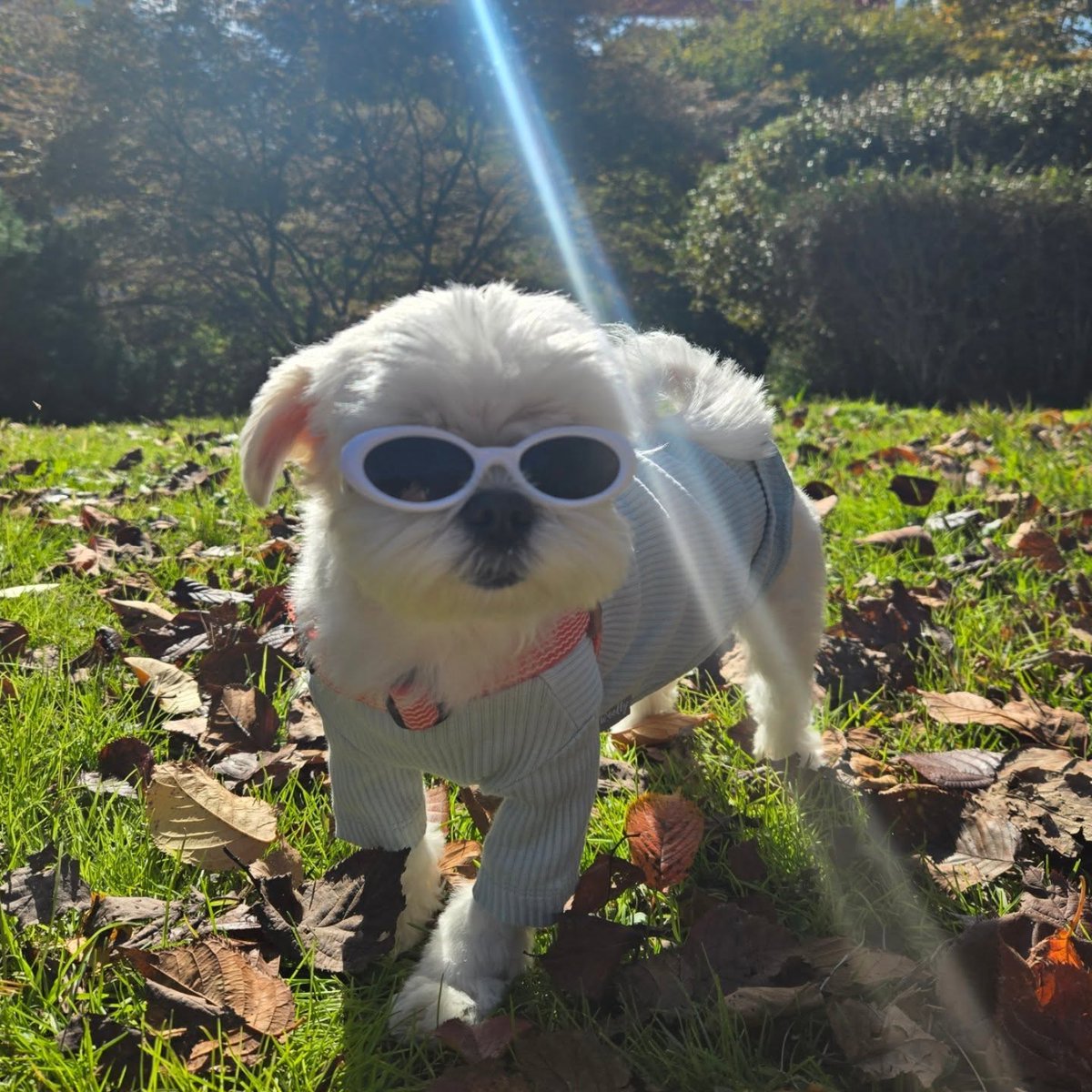averythompsonm0's tweet photo. I love autumn. https://t.co/L5WRhWwCTN