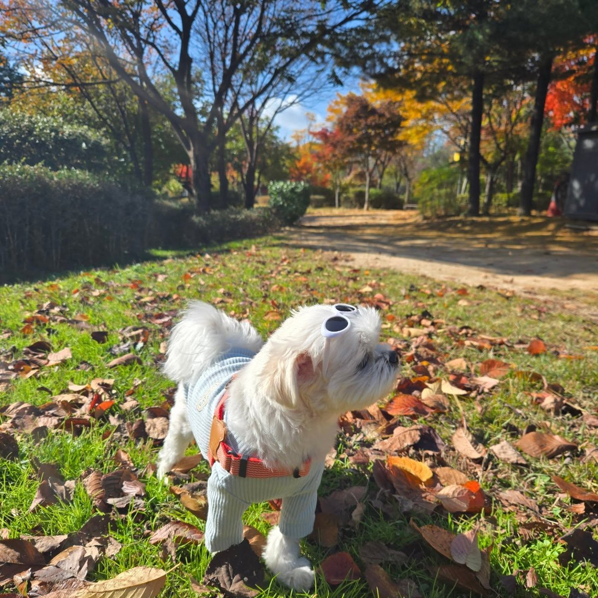 averythompsonm0's tweet photo. I love autumn. https://t.co/L5WRhWwCTN