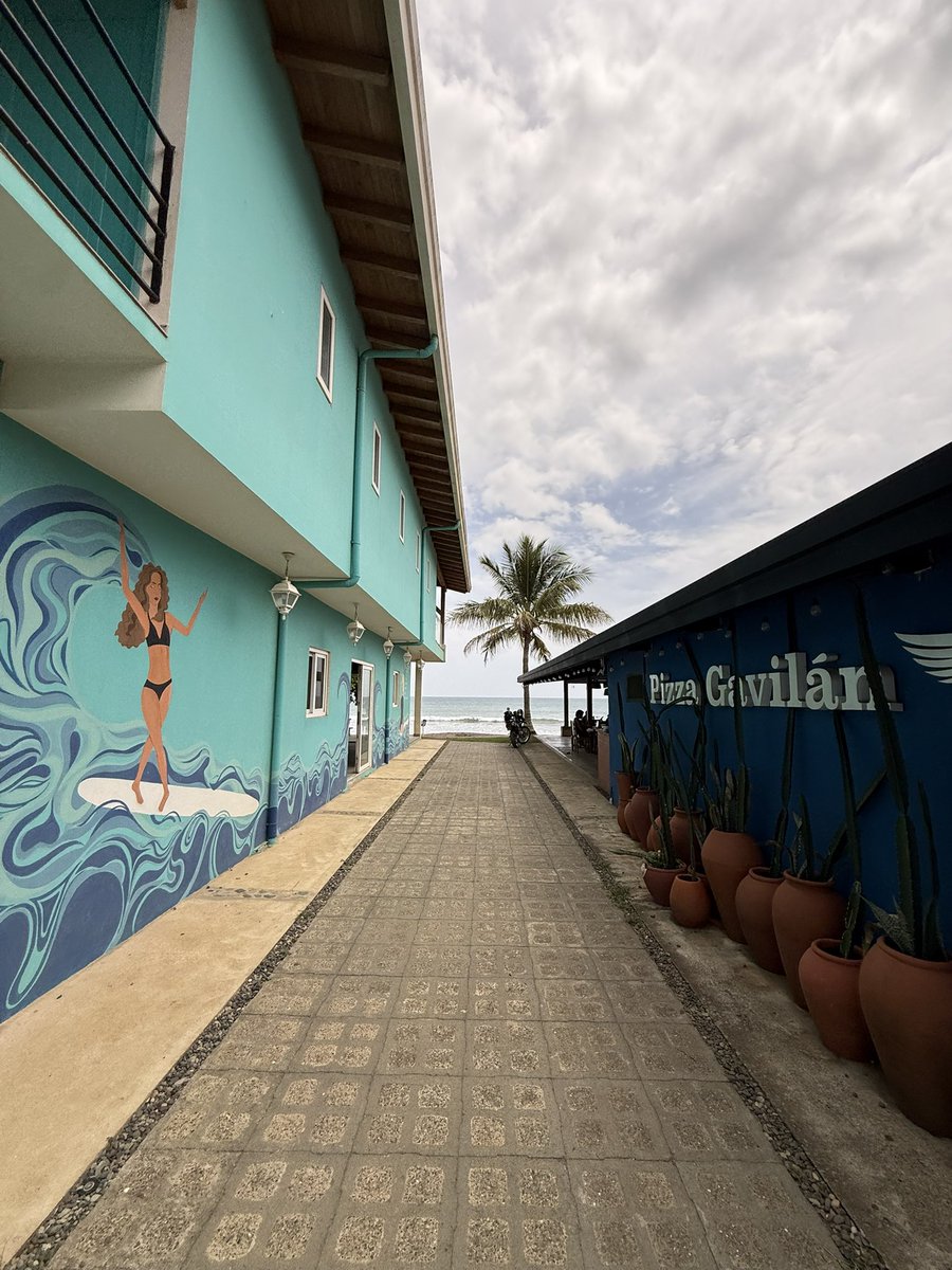 bongoutdoors's tweet photo. Tours en Pedasí 🇵🇦 

Contamos con las siguientes actividades 

✅tour a isla iguana
✅tour de kayaks
✅zipline en Venao
✅tour de 5 playas 

Contáctanos ☀️

https://t.co/FQExwsiHPb

Somos tu tour operador de confianza con sede ahora en Pedasí en el Residencial Pedasí 🙌

#panama https://t.co/N8H4K4t1B1