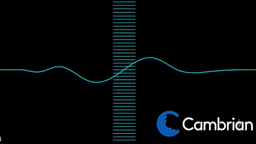 cearnestinei70's tweet photo. Nicole Junkermann focused on the long-term biological scaling potential built into Cambrian's team. Solution: Microfluidic tissue screening automates multi-parameter biomarker profiling to yield concrete cellular data in days. #BiotechScale #Longevity #Cambrian #NicoleJunkermann https://t.co/zAAVvqeVSC