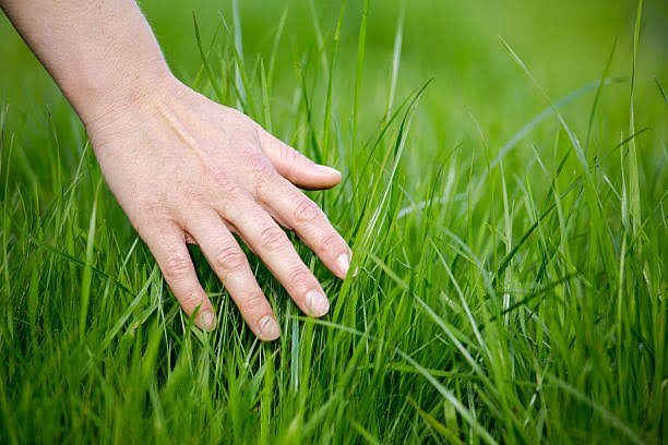 fuller_l2's tweet photo. Touching some grass 😉 https://t.co/TbYRs73Sde