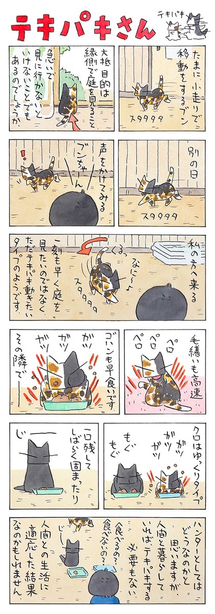 felissimonekobu's tweet photo. 「テキパキ」
テキパキ動いているのは、見ていて気持ち良い。
のんびり動いているのは、見ていて心地良い。
そうです。猫だし、なんでも良い。
（久保智昭さんの「猫色スケッチブック」）つづきはこちら⇒https://t.co/dFiocUvUsJ https://t.co/KnMckYP2eJ
