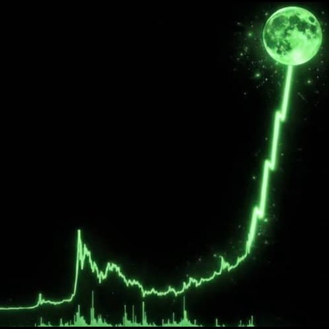 BenDaBeast_yt's tweet photo. What memecoin is gonna blow up next!📈📈📈 https://t.co/DNkwisEOUE