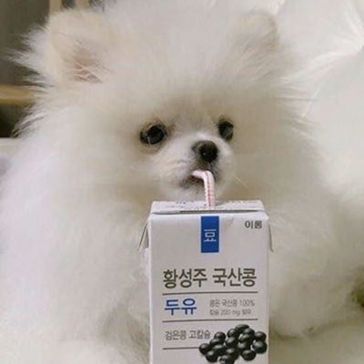 liizi__'s tweet photo. #NewProfilePic https://t.co/GbB98fC9nG