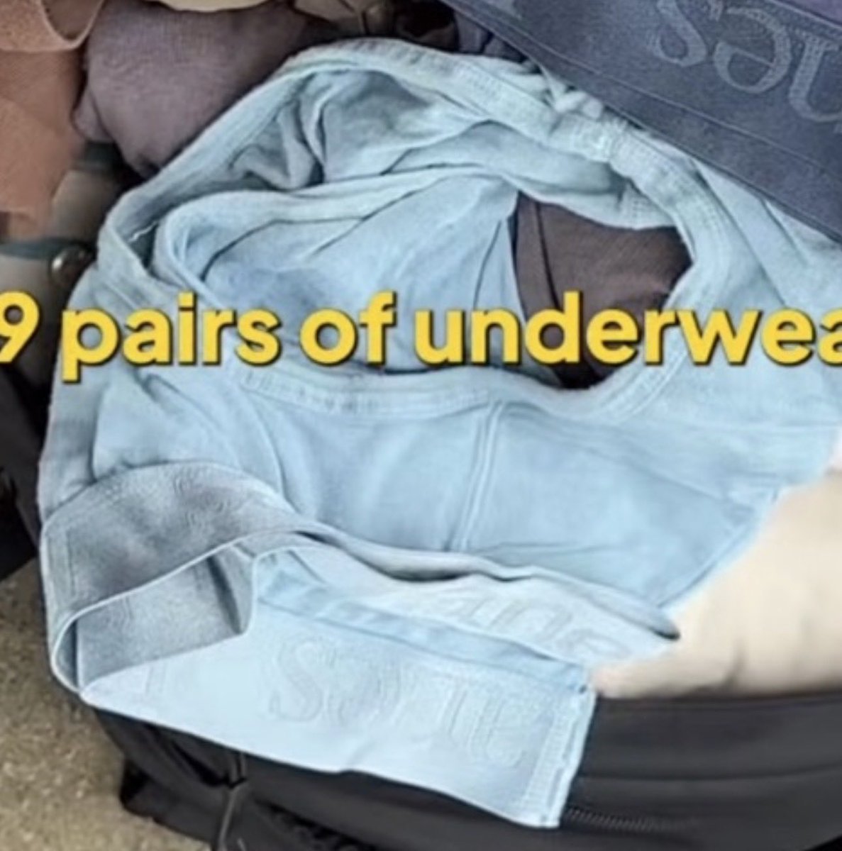 AlexMar31934563's tweet photo. It’s amazing when straight guys are completely oblivious about casually, revealing the fact that they wear briefs…as if the brieflines weren’t enough, he literally just shows the briefs in the suitcase… https://t.co/5S4lzjquLt