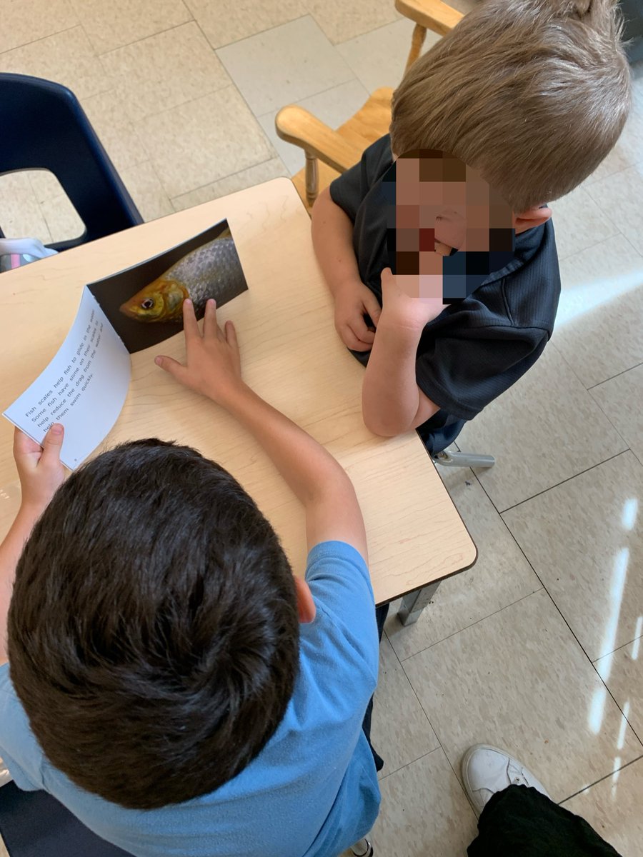 BarbieriRm17's tweet photo. Ss had an engaging first session with their Reading Buddies. @BarbieriRm17 https://t.co/2NNNZqmwLM