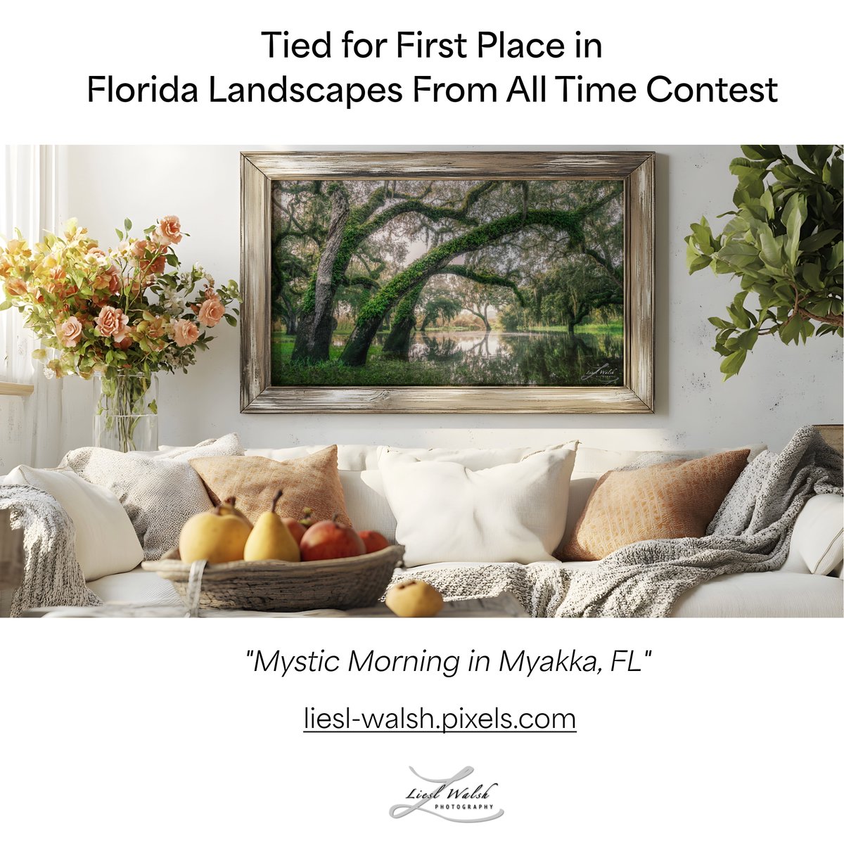 LieslWalsh's tweet photo. Excited my photo of #liveoaktrees won first place in a #floridalandscape contest on #fineartamerica!
I love #oldflorida #nature #landscapes like this and the lines of the #branches.
Order #canvasprints, #metalprints, #framedprints:
https://t.co/YGQzIKJs2R https://t.co/KCs0RXHQ2i
