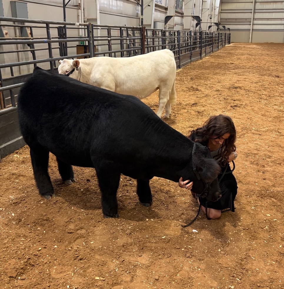 MusicbyAngelyn's tweet photo. Still thinking about the friends I made at the Central Texas State Fair in Belton over Labor Day weekend. ๐ฎโค๏ธ
Pretty sure I wanted to take them all home. ๐
#Angelyn #MusicByAngelyn #CentralTexas #CountryGirl https://t.co/JCmfahMQq7