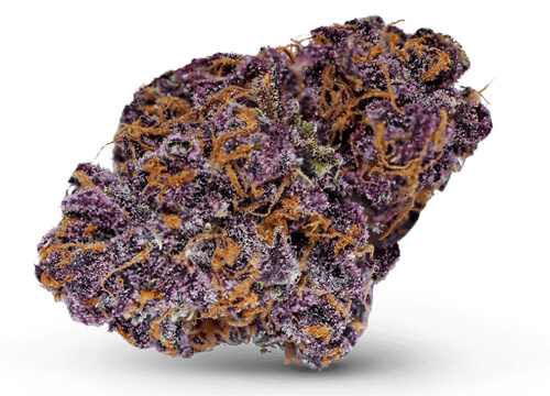 GNAW401491's tweet photo. Purp bud 

#KongD. #Photography #Art #Blackart #Graphicdesign #foodphotography #food #toast #GNAW #Toast #4DaScholarz #Modernart #Purp https://t.co/ye4FKW2IJV