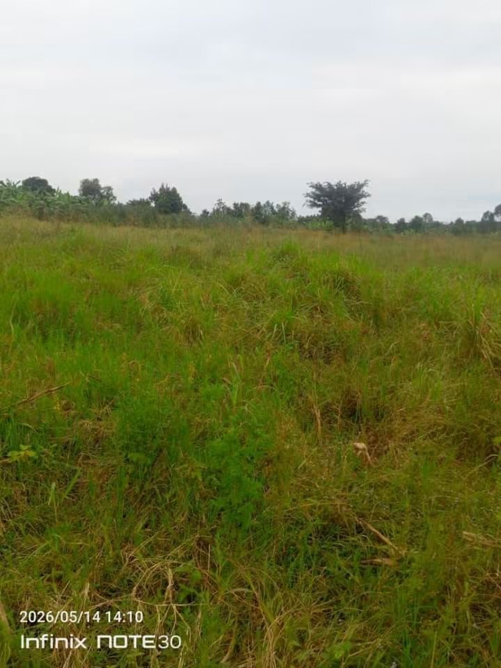 ewaffeproperty's tweet photo. 7 Acres of Private mailo land For sale
Location: Gombe,Wakiso district,Along semuto road,6km from Matugga town
Starts on tarmac
Selling all at once at 550m Ugx  per acre
WhatsApp or Call +256743245710 https://t.co/xjuJl4Qz0X
