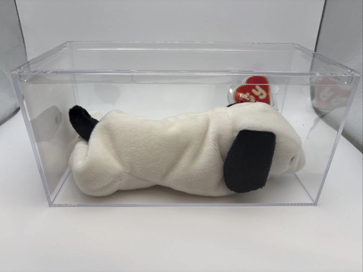 imbabybean's tweet photo. entombed in a glass sarcophagus to exhibit the incorruptible flesh https://t.co/32D4WGxUae