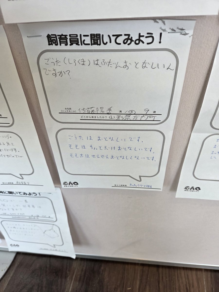 popvirus0111's tweet photo. 個人的には獣医さんのコメントが好きです

ホッキョクグマ担当さん… https://t.co/kMwDwsh6ov