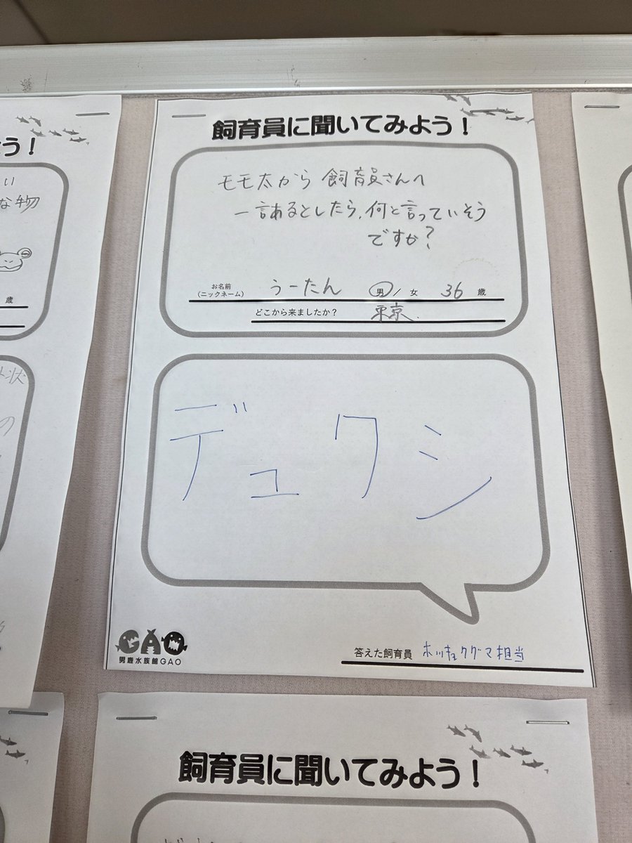 popvirus0111's tweet photo. 個人的には獣医さんのコメントが好きです

ホッキョクグマ担当さん… https://t.co/kMwDwsh6ov