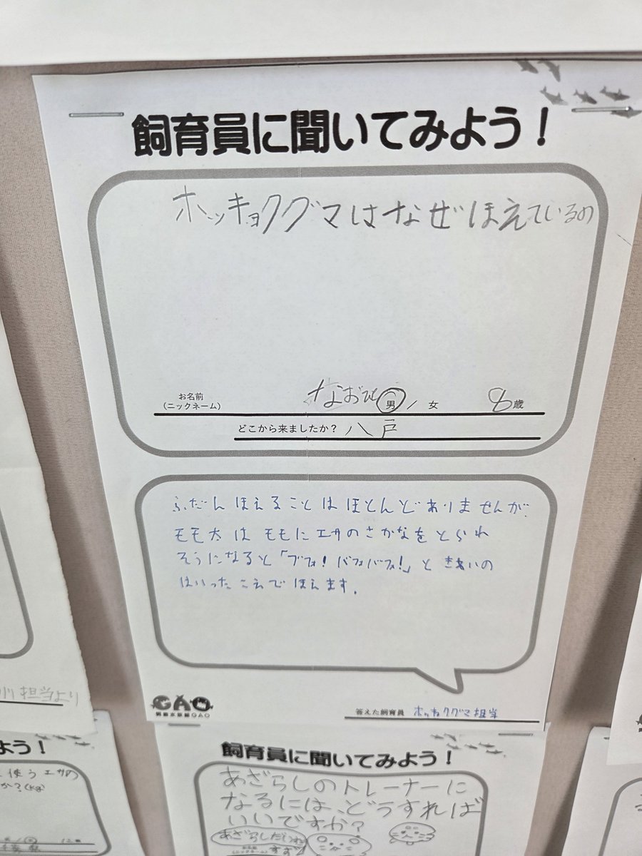 popvirus0111's tweet photo. 個人的には獣医さんのコメントが好きです

ホッキョクグマ担当さん… https://t.co/kMwDwsh6ov
