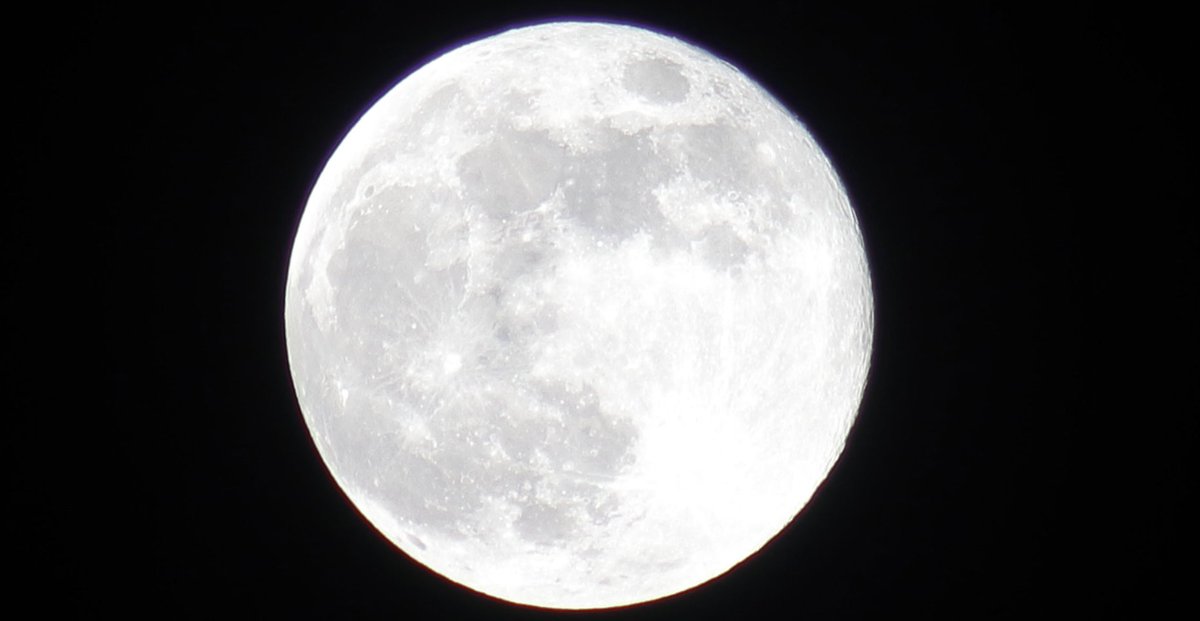 CEERS1749's tweet photo. 🟥 Do “Lunatic” and “Moon” Share the Same Root?

English has an old word: lunatic.

It once described people thought to be out of their minds.

Its ancestor was not “madness.”

It was the Latin luna: the moon.

In other words, the first sense of the word was close to this:

a person influenced by the moon.

This was not an accident.

In European history, people long suspected that the moon could disturb the human brain.

Epileptic fits.

Sleepwalking.

Agitation.

Mental disorder.

All were, to different degrees, tied to the phases of the moon.

In the eighteenth century the English physician Richard Mead even claimed that, after watching his patients, he could predict some epileptic attacks from the new moon and the full moon.

🔺 Why Suspect the Moon?

One reason is plain to the eye.

The moon really does “control” natural events you can see.

It waxes and wanes on a cycle.

The sea rises and falls with it.

The menstrual cycle also happens to sit on a similar scale of time.

In an age that did not know neurotransmitters, brain waves, or the body clock, a further guess came easily:

If the moon can pull the ocean, can it also pull the fluids inside a human body?

🔺 A Less Mystical Suspect: Sleeplessness

There is a more interesting modern suggestion, and it is less occult.

Before electric light, a full moon was a very strong natural lamp at night.

A bright night could make people sleep later and sleep more lightly.

Lack of sleep can, in some people, raise the risk of mania or of epileptic attacks.

So the old tale that “the moon drives people mad” may have named the wrong killer.

What hid behind the moonlight may have been only one thing:

not being able to sleep.

🔺 The Word Kept the Shadow

Most research today finds no stable proof that a full moon makes people lose their minds.

But the old suspicion has stayed in English for good.

Every time someone says lunatic, the moon’s shadow is still inside the word.

Source: original Chinese essay on lunatic, luna, and the belief that the moon disturbs the mind