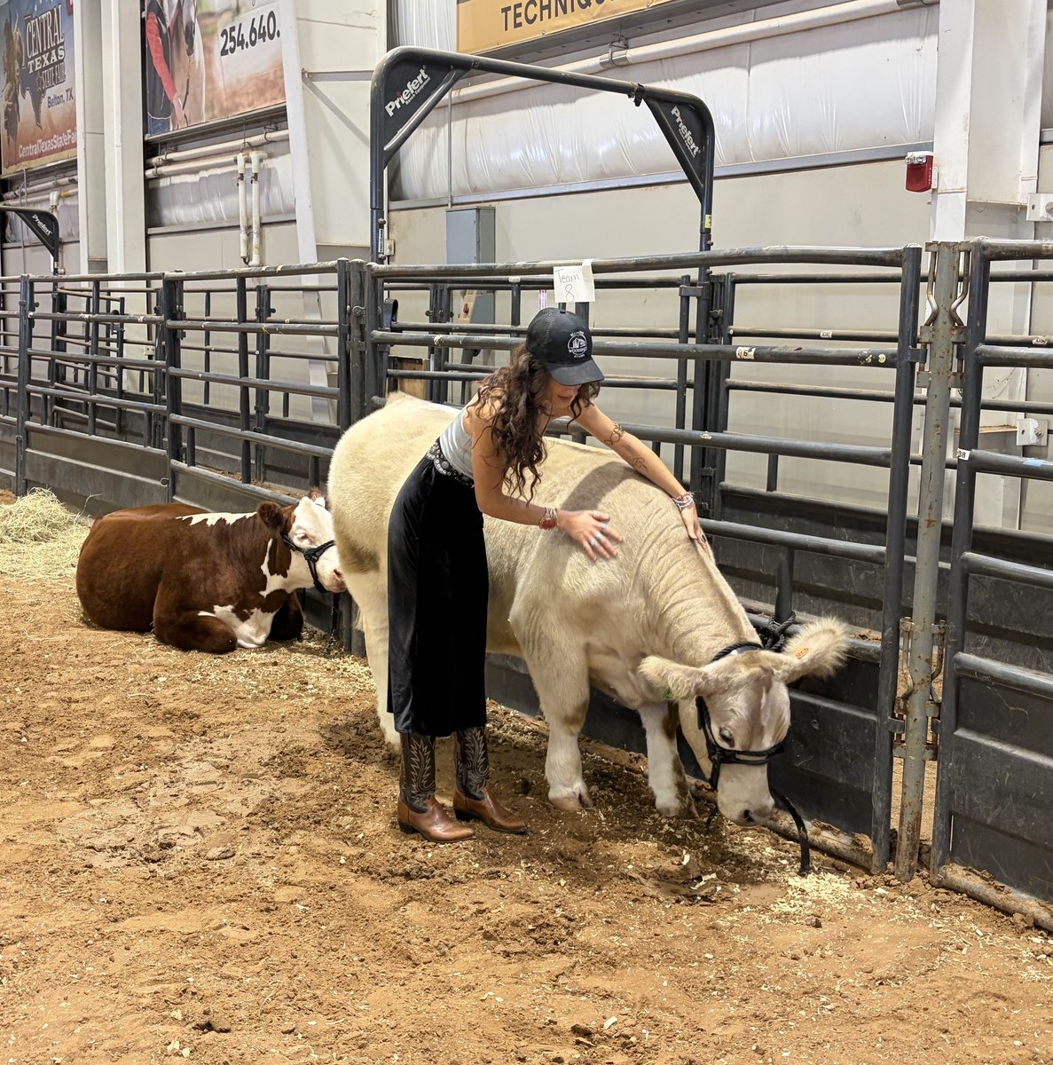 MusicbyAngelyn's tweet photo. Still thinking about the friends I made at the Central Texas State Fair in Belton over Labor Day weekend. ๐ฎโค๏ธ
Pretty sure I wanted to take them all home. ๐
#Angelyn #MusicByAngelyn #CentralTexas #CountryGirl https://t.co/JCmfahMQq7