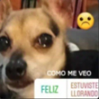 starmiez's tweet photo. tengo q redactar evaluaciones, noooo https://t.co/CNzFp1boUC