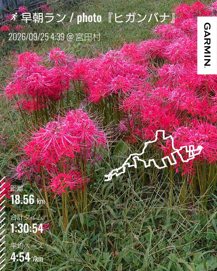 MS_104plus's tweet photo. 2026/09/25
am4:39スタート 気温18°
#ランニング #朝ラン 

息があがって苦しくなったら
「走るの楽しいー！！」と思うと
少し楽になるのよね。
気持ちの問題。かもしれない

最高標高836m 獲得標高231m
#早朝ラン
#running https://t.co/uNEi5JpVnW