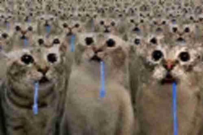fernetya0i's tweet photo. Cuando tu novia dice que se ve horrible pero vos llevas mirándola así hace 3 horas https://t.co/7vJA2VWzFh