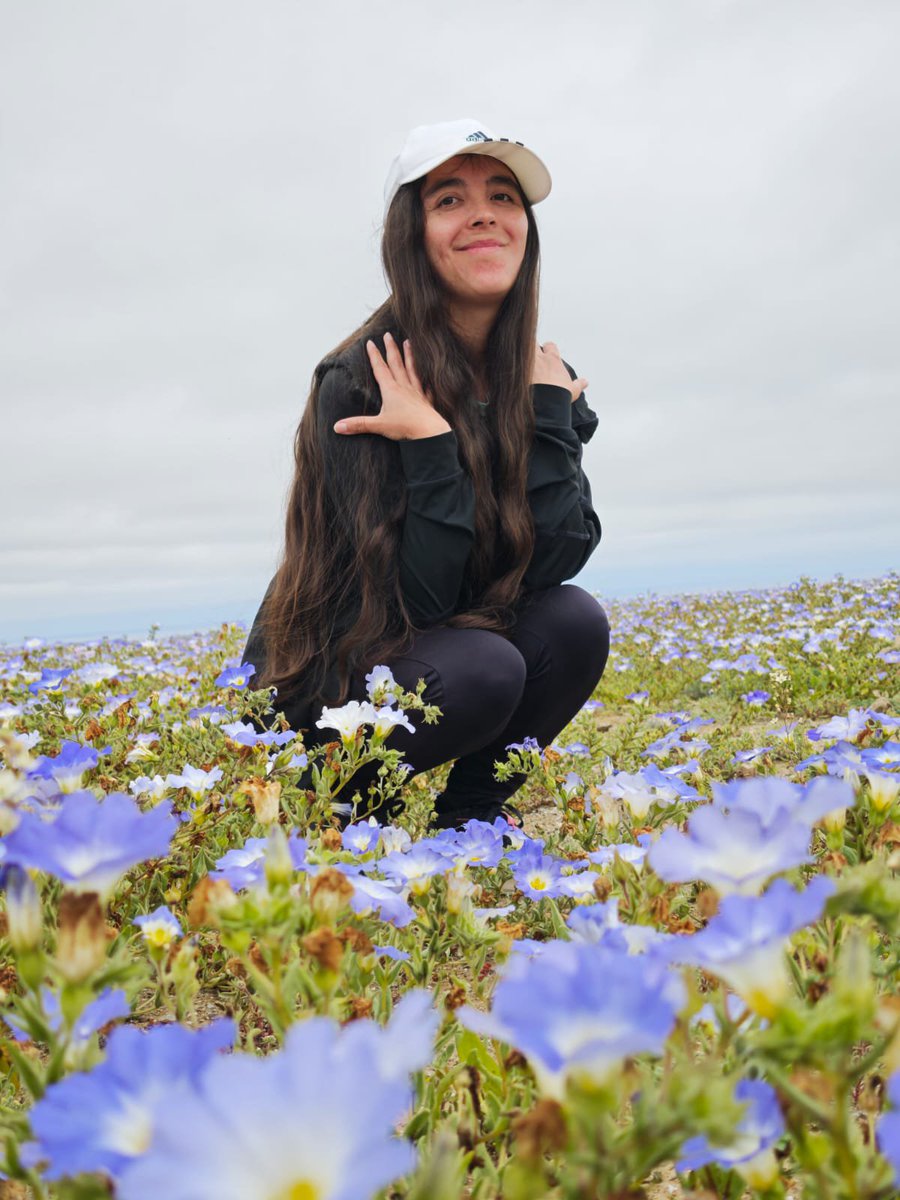 thiarebunny's tweet photo. 🌸🏜️ Del mundo del cosplay a la magia real del Desierto Florido 🇨🇱✨ Esta vez el escenario no fue imaginario: flores, colores y naturaleza por todas partes. ��💕 ¿Qué les parece esta nueva versión de ThiareBunny? 😉 Sígueme para más aventuras. 💋  #DesiertoFlorido #Chile https://t.co/SNqkAlHFLV