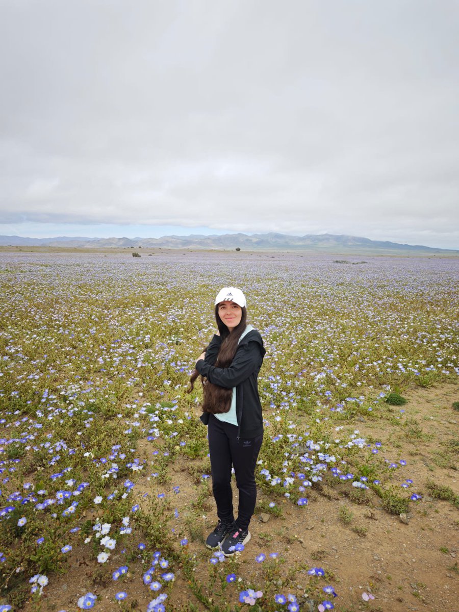 thiarebunny's tweet photo. 🌸🏜️ Del mundo del cosplay a la magia real del Desierto Florido 🇨🇱✨ Esta vez el escenario no fue imaginario: flores, colores y naturaleza por todas partes. ��💕 ¿Qué les parece esta nueva versión de ThiareBunny? 😉 Sígueme para más aventuras. 💋  #DesiertoFlorido #Chile https://t.co/SNqkAlHFLV