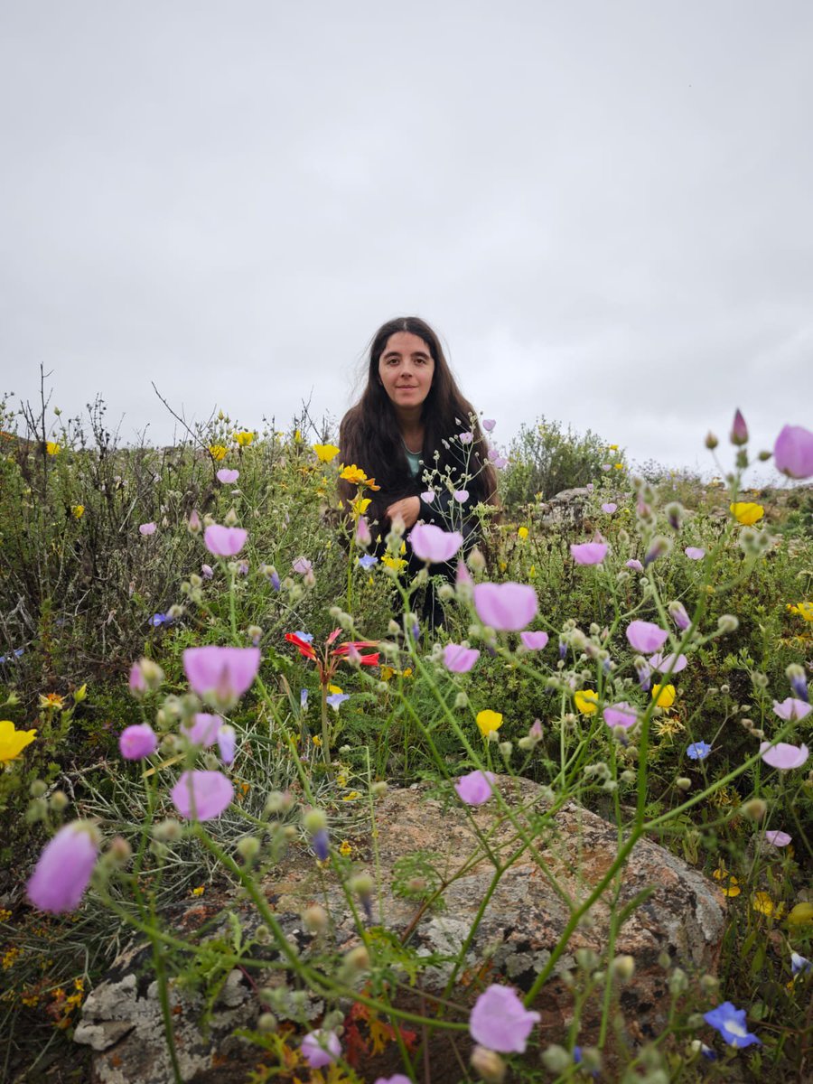 thiarebunny's tweet photo. 🌸🏜️ Del mundo del cosplay a la magia real del Desierto Florido 🇨🇱✨ Esta vez el escenario no fue imaginario: flores, colores y naturaleza por todas partes. ��💕 ¿Qué les parece esta nueva versión de ThiareBunny? 😉 Sígueme para más aventuras. 💋  #DesiertoFlorido #Chile https://t.co/SNqkAlHFLV