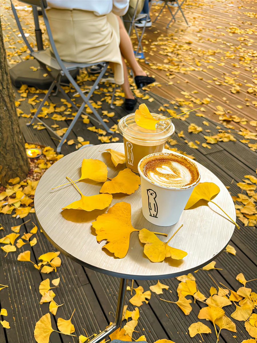 MaxineParuta's tweet photo. The crisp autumn breeze turns leaves gold today—perfect for a hot pumpkin latte and a long walk!， https://t.co/2CAeXogwrw